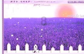怎么样美白牙齿游戏画面