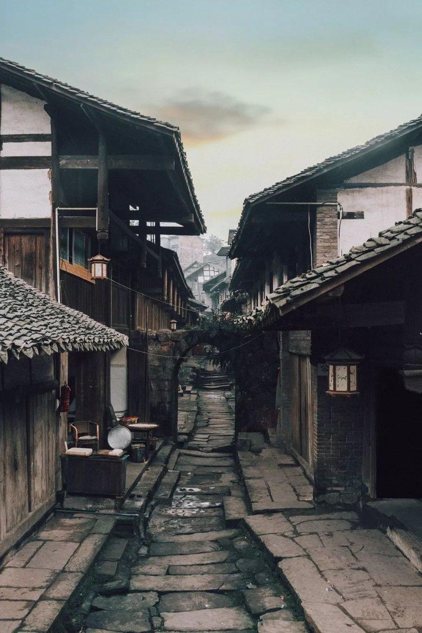 峨眉山藏酋猴德彪转危为安
